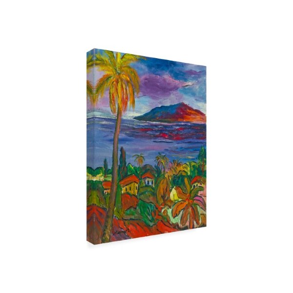 Manor Shadian 'Pacific Peaceful Shores' Canvas Art,18x24